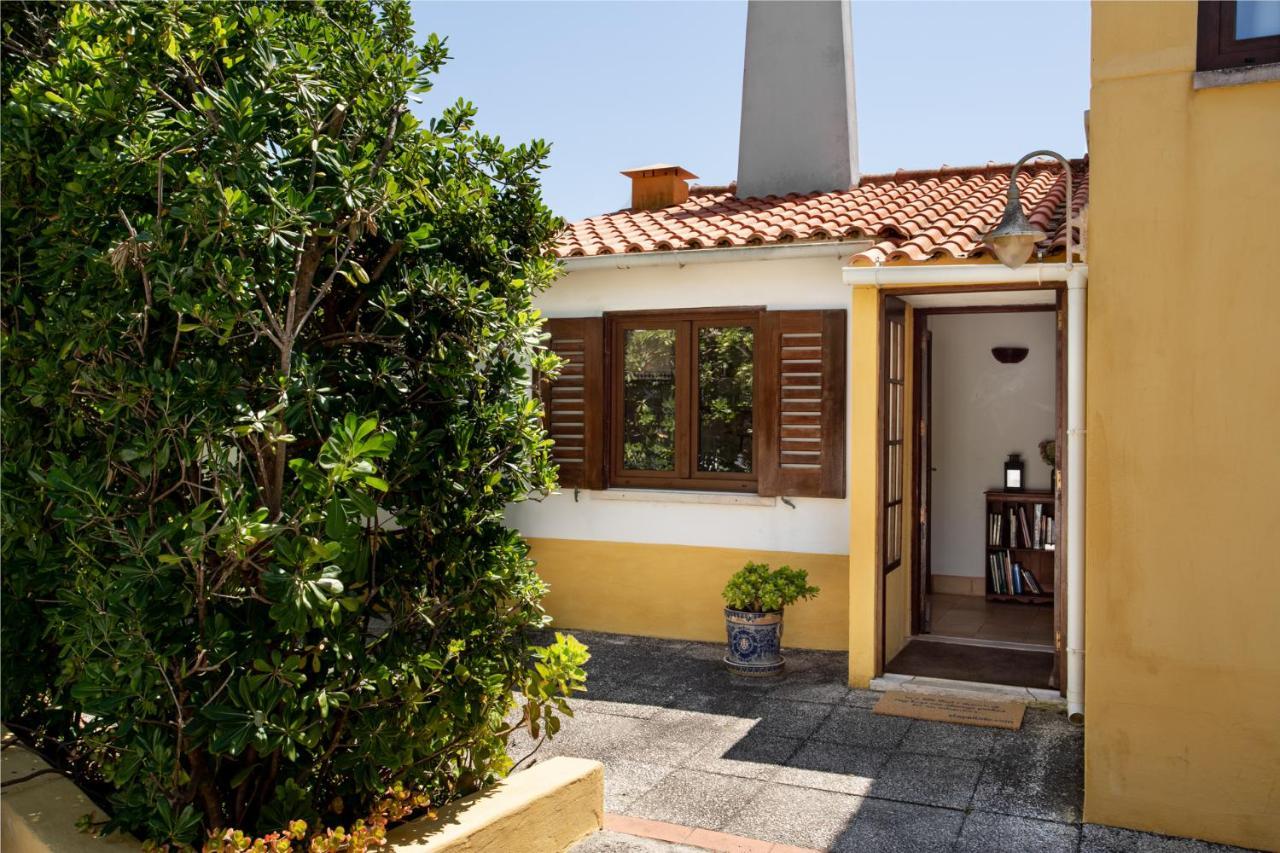 Joivy 3-Br Cottage With Terrace And Garden In Colares سينترا المظهر الخارجي الصورة